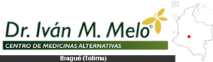 ivan melo