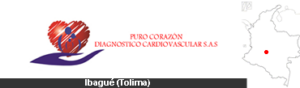 puro corazon